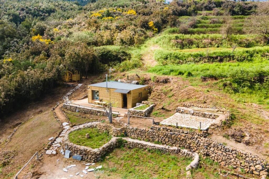לה אורוטבה El Pino Centenario 3 מראה חיצוני תמונה